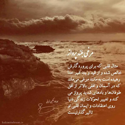 ⁦❇ ️⁩مرغی بلند پرواز