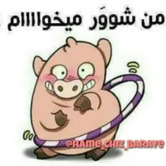 ههـــه