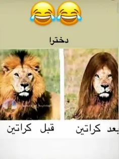 😂 😂 😂 😂 😂 😂 😂 😂 خداوکیل کیا اینجورین؟