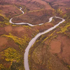 Muddy River winding through Eagle Gorge in #DenaliNationa