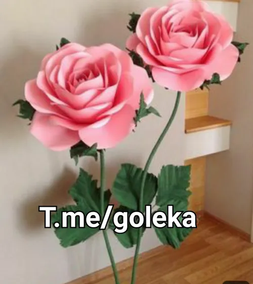 t.me/goleka