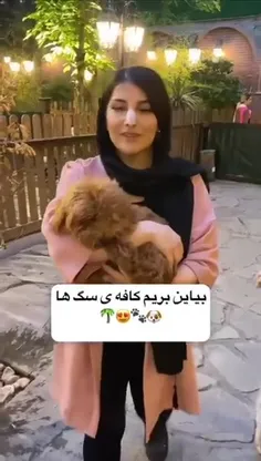 قدیما برای تمسخر برخی میگفتن زندگی سگی داره...