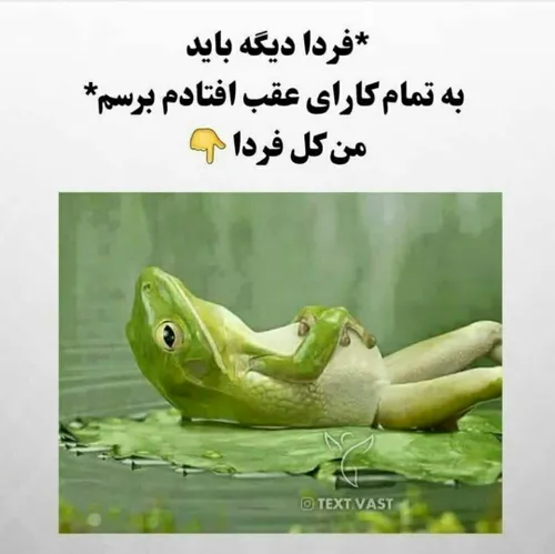 نگم بهتره چون فرداش کلا فلج میشم😄😄😐