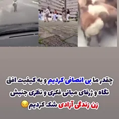 البته قصد #توهین به گوسفندا رو نداریم ؛ هرچی باشه بالاخره