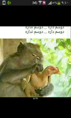 دوسم داره.... دوسم نداره...