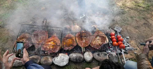 ی جمعه عالی درطبیعت😍😍😍