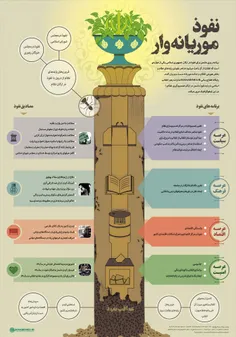 نفوذ موریانه وار