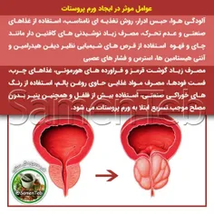 ⚠️عوامل موثر در ایجاد ورم #پروستات