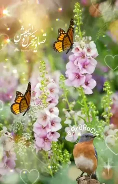 ســلام 🌸