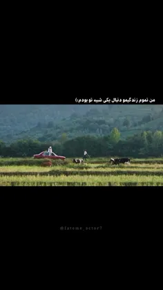 من تمومِ زندگیمو دنبال یکی شبیه تو بودم 💕