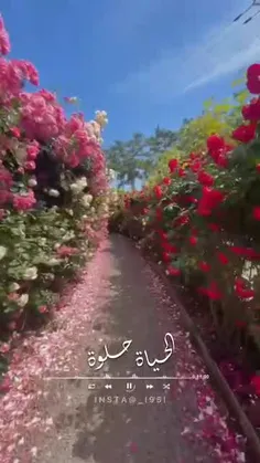 قشنگه