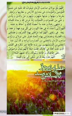 منتظر مانده زمین تا که زمانش برسد