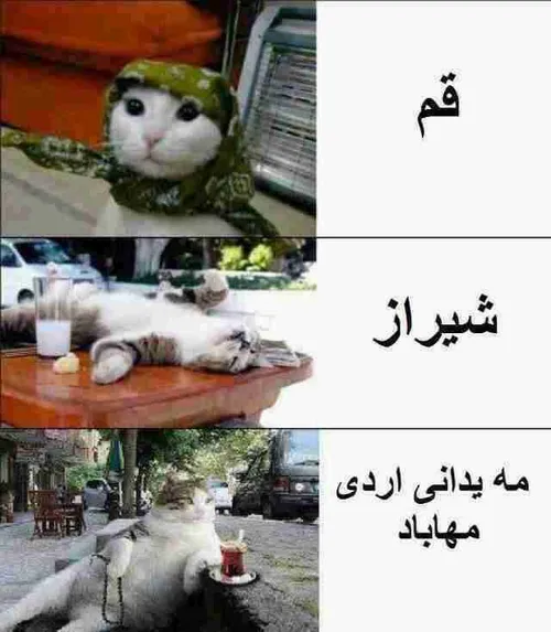 بدون شرح