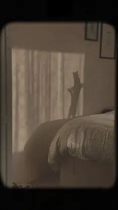 با حیوانات هم سفره نشدی،وگرنه میفهمیدی نمک نشناس ترین مخل