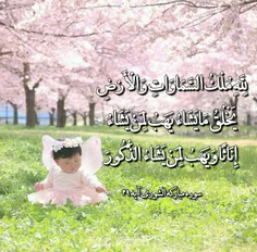 ‍ 🌸لِلَّهِ مُلْكُ السَّمَاوَاتِ وَالْأَرْضِ يَخْلُقُ مَا 