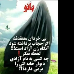 بی‌خردان معتقدند!؛