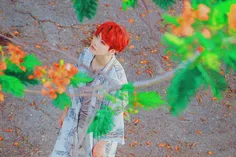 #BTS 😽  🌹 🍃 