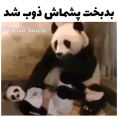 اینه که بده 😅