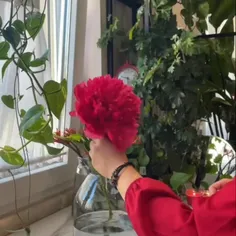 گذاشتن گل در گلدان