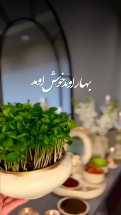 #عید_نوروز 🌱