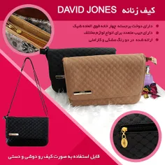 👩 کیف زنانه David Jones👩 