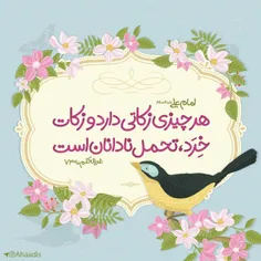 💗 امام علی علیه السلام: