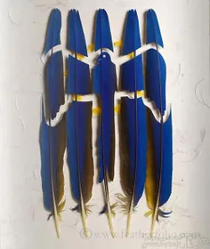 کریس مینارد با برش و الهام از پر آثار #هنری جالبی خلق می 