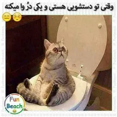 وقتی تو دسشویی هستی که یهو یکی درو وا میکنه😂