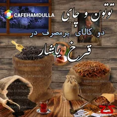قرخ یاشار روستای سیگار و چای