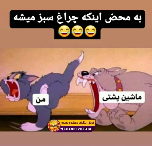 این چه مرضی تاچراغ سبز میشه بووق میزنین😂😂😂😂