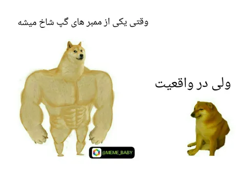 کیا شاخن لایک کنن 😂
فالو کن بک میدم