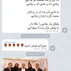 https://telegram.me/nafisehroshan