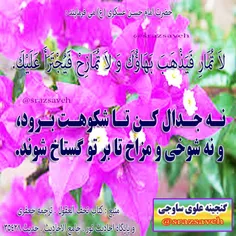 #حضرت_امام_حسن_عسکری_ع می فرمایند :