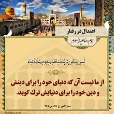 حدیث امام رضا (ع)