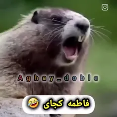 ابجی فاطمه کجایی 😂😂😂😂