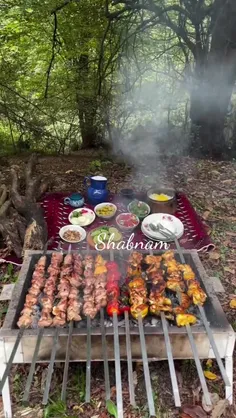 عاشقانه های شبنم درکنارزندگیم 