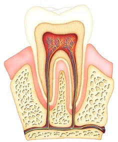 در کلینیک دندانپزشکی شبانه روزی هروی heravi dental clinic