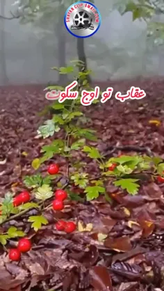 آخر هفتگی همگی پر از اتفاقات خوب 