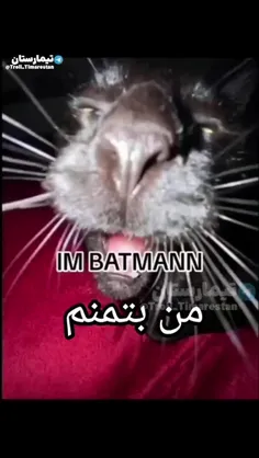 I'm bat mannnnnn