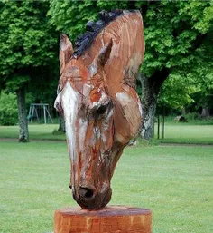 هنرنمایی با درخت خشک شده😍 😍