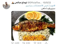 میگن دیشب به این اغتشاشو❗ سبزی پلو با ماهی دادن نامردا ، 