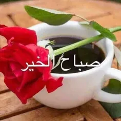 گوناگون kodkrem 27839261