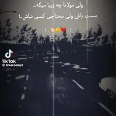 دقیقاً مست باش ولی محتاج کسی نباش😜