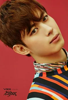 hongbin