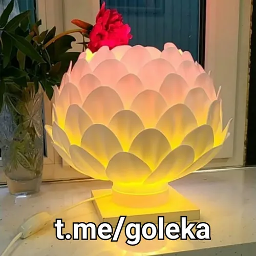 t.me/goleka