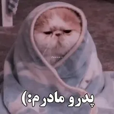 خیلی سمه 😂😂 واقعا راست میگه 😕