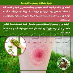 🍵رفع #خستگی با جوشانده‌ی رزماری