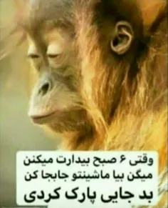 خدایی خیلی زور داره 😂😂