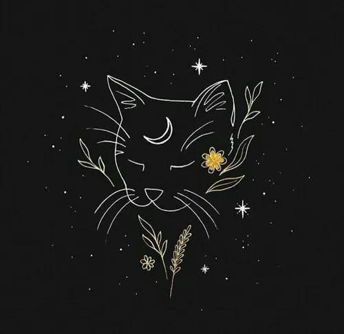 🌙 🌻 🌾 🌌