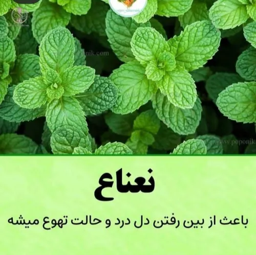 عکس نوشته سلامت علمی دانستنیها